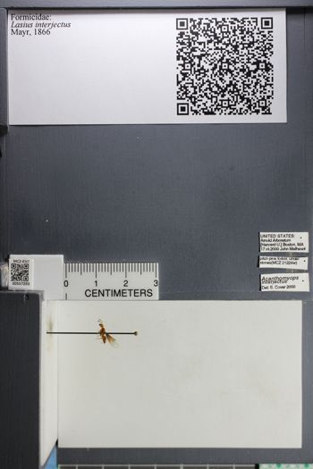 Media type: image;   Entomology 557293
